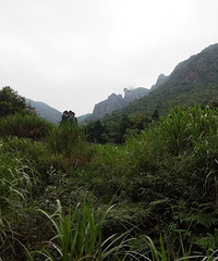 绿野迷踪,骑行杜桥岙底陈村山谷