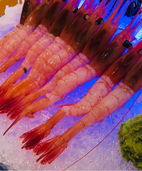 ����Ψһһ�ҳ���һ�λ�����ȥ�����ϵ꣡