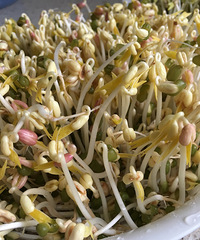 ��������ң������̶����ջ��˰���ʳ��Ͳ��ıر���֮һ