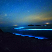 来这里看星空看蓝眼泪