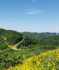 �㽭�����糵��·