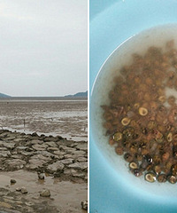 �����������ݣ�������Сʱ��ս��