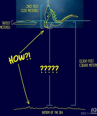 ��˹������300�ף���������ڽ�4000�׵ĺ����ﱣ��վ���ģ�