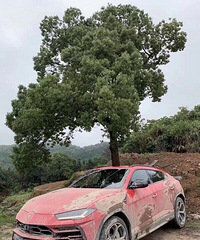 ���ţ�µظ���ȥ�ˣ�