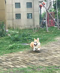 �»�������һ��룬���������޳���