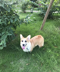 �»�������һ��룬���������޳���