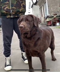 ˫Ѫͳ�������� �Уãˣ�֤�� ĸ 3�� ���������� ����Ȥ��