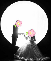 ٯٯ������8999Ԫ