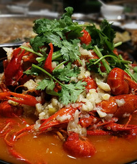 ��������֭��Ϻ���������ղ��ܣ�һ��һ��ͣ������