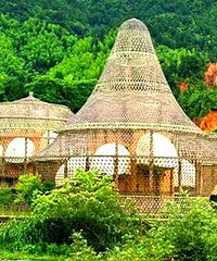 8�����ҵ�11λ������ʦ��ɵ�����