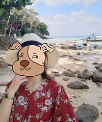 94�����MM163���ȽϿ��ظ�����������Ʒ