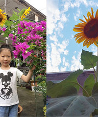 �ڴ��ջ���ӣ���Ժ���￴��ྐྵ���