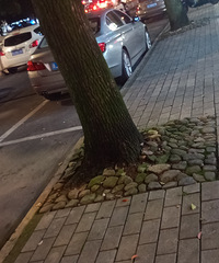 ���������ġ�����෽λͣ�������֣�