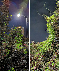 ���ģ���ֵ���Ƶ��޺��ɾ���ô��ȥ