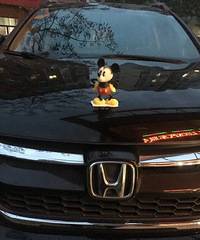 ����ÿɰ��������ÿ��ſ��ţ��᲻�����