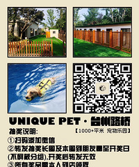 UniquePet������￪ҵǰ