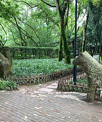 �ŷ幫԰��4��ʯ����ʲô������