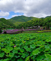 雁荡山石门村非常幽静,可以让人放松心情,享受大自然
