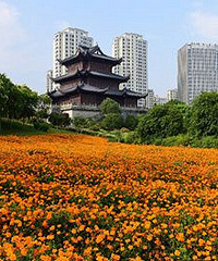 �齭����֮ΰ�ǳǹ�԰����