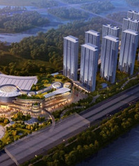 ����������ۺ���Ч��ͼ