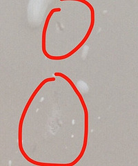 ��λ������ֻ�в������ѡ������