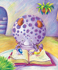 ���걦�����汾���׶�����ѡ��Щ�û汾