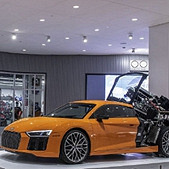 ��Щ���������ĸ���