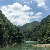 �Լݻ����ᴨ