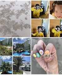 Ҭ�����Ϲ�������������