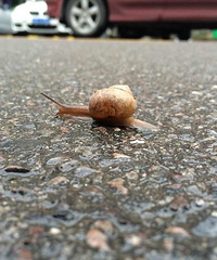 �����з��޻�����������Щ����ѧУ��