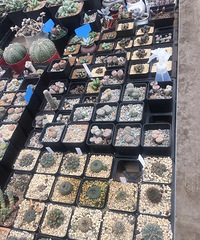 רҵ����������۰�װ