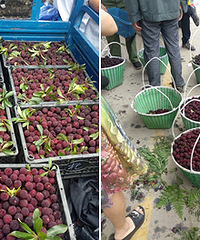 ������÷��½�����У���̿�����ȵ�