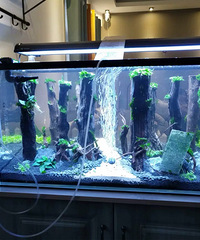 ��������ף���ͼ���������Ҫ���Ѷ���Ǯ��