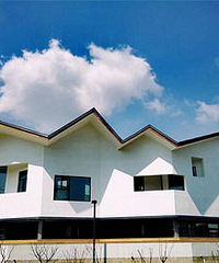 �ڰ׼�Լ����������ŨŨ���й���ζ