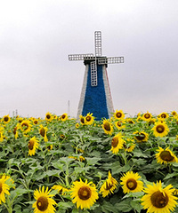 �����е����տ�����