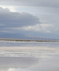 �����������֮��