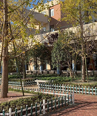 ��������Сѧ��ô���������ǰ�æ�������