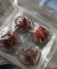 加油送了四颗精装杨梅,加油站的花头眼真多