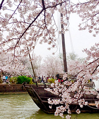 ��ʱ6��Сʱ������ӣ����������