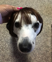 ���Ĵ󷢣���������ִ�ʲô���ӡ�