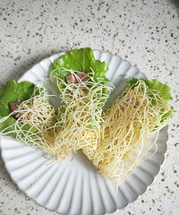 ��˿��������