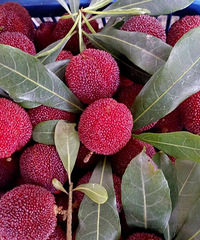 ��÷�۸����ˮ ÷ũ��