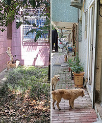 ���˹������Ҽң��������