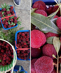 ��÷�۸����ˮ ÷ũ��