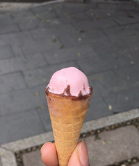 ��ɹ������ʳ������������Ͳ