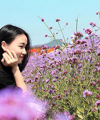 ϣ���ҵ��Լ��Ĺ���