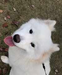 �г�������ĦҮ