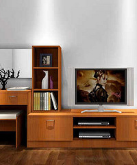 �¹���ȫ�ݶ��ƵĿ����廹����ľ������ľо�����ã�