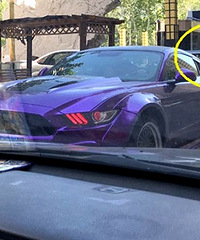 ��Ұ�������β��Ҫ�����