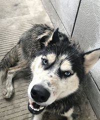 ˭�Ĺ�ʿ�涪�ˣ��Ͻ��û�ȥ������